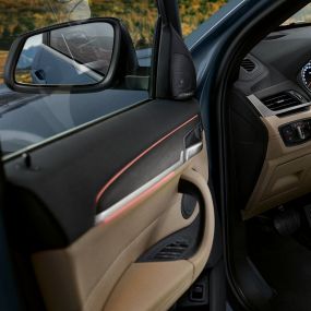 Intérieur de la BMW X1 BMW X1, intérieur avec vue sur le volant multifonctions